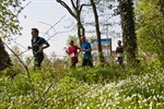 Durch den Frühling