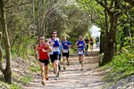 Stoltera-Küstenwaldlauf 2014 in Warnemünde