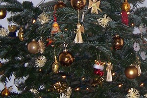 Weihnachtsbaumverkauf in der Rostocker Heide vom 10. bis 20. Dezember 2014 Weihnachtsbaumverkauf in der Rostocker Heide vom 10. bis 20. Dezember 2014