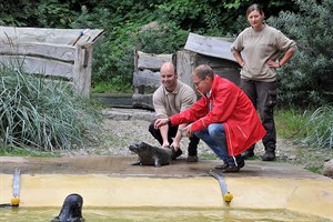 OSPA-Vorstandsmitglied Karsten Pannwitt taufte heute die kleine Seehündin auf den Namen Ylvi - hier mit den aufmerksamen Tierpflegern Tina Kwapil und Lars Purbst (Foto: Joachim Kloock) OSPA-Vorstandsmitglied Karsten Pannwitt taufte heute die kleine Seehündin auf den Namen Ylvi - hier mit den aufmerksamen Tierpflegern Tina Kwapil und Lars Purbst (Foto: Joachim Kloock)
