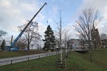 Tannenbaum für Rostocker Weihnachtsmarkt aufgestellt