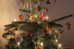 Weihnachtsbaum-Entsorgung vom 4. bis 29. Januar 2016