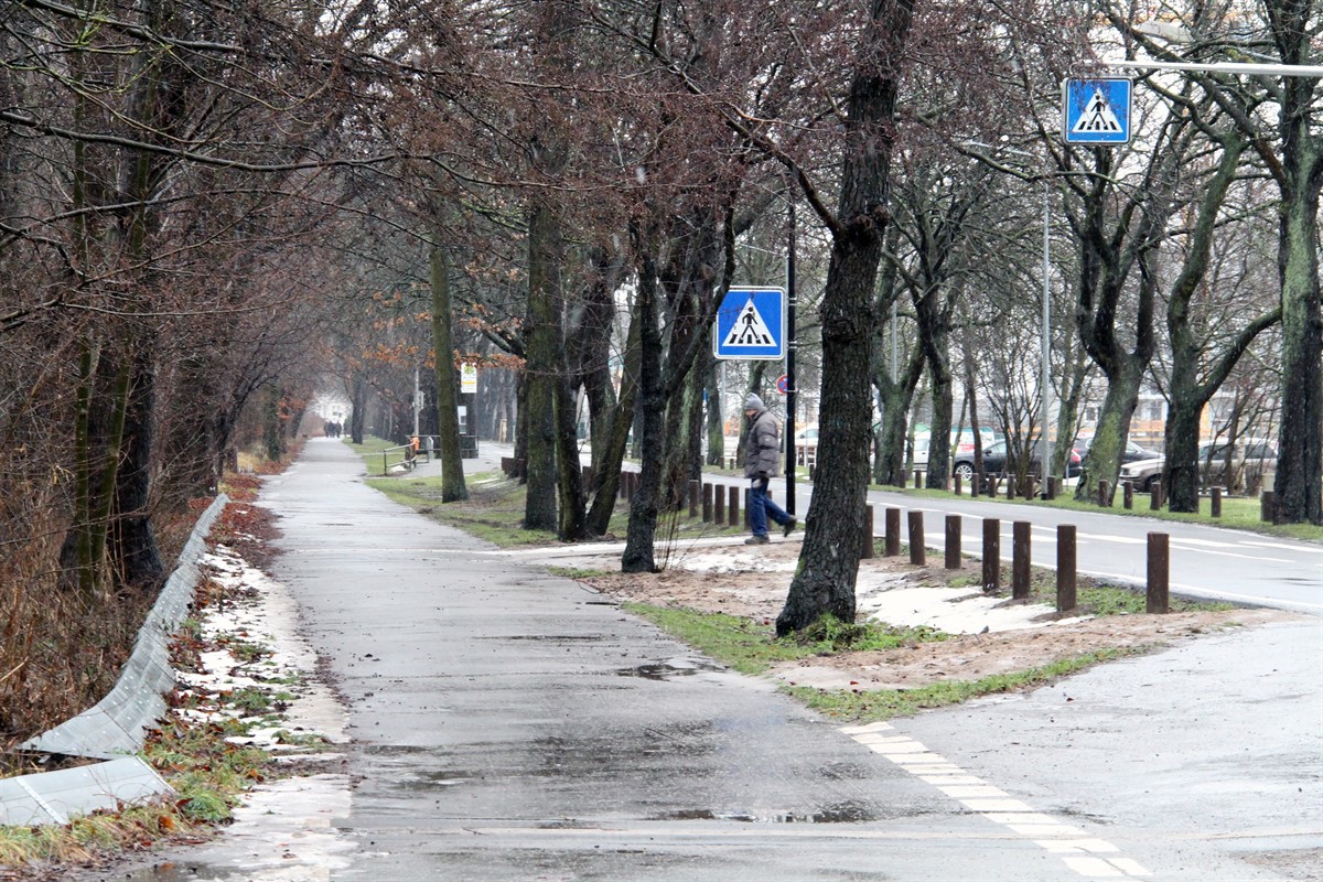 Radweg an der Warnemünder Parkstraße beschäftigt die Planer RostockHeute