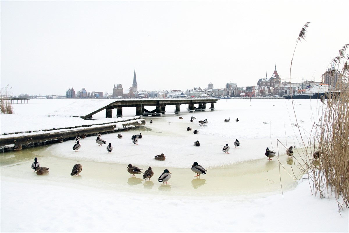 Räum und Streupflicht gegen Schnee und Eisglätte umsetzen RostockHeute