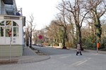 Fußgängerüberweg in der Wachtlerstraße kommt im April