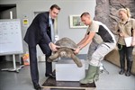 Galapagos-Riesenschildkröten im Rostocker Zoo gewogen