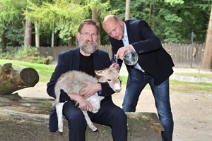 Taufpate Jens Fischer (re.), Center Manger des Ostsee Parks, war schwer begeistert von Pippo und freute sich mit Zoodirektor Udo Nagel, dass sich der Kleine so gut entwickelt. (Foto: Joachim Kloock)