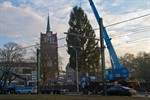 Tannenbaum für Rostocker Weihnachtsmarkt 2016 aufgestellt