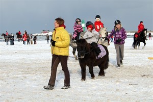 Ponyreiten am winterlichen Strand von Warnemünde