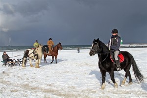 Winterreiten, Schlitten- und Kutschfahrten am Strand beim Warnemünder Wintervergnügen