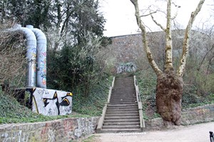 So sah es noch vor einiger Zeit an der Heubastion aus. Das Gehölz wurde bereits entfernt (Foto: Archiv) So sah es noch vor einiger Zeit an der Heubastion aus. Das Gehölz wurde bereits entfernt (Foto: Archiv)