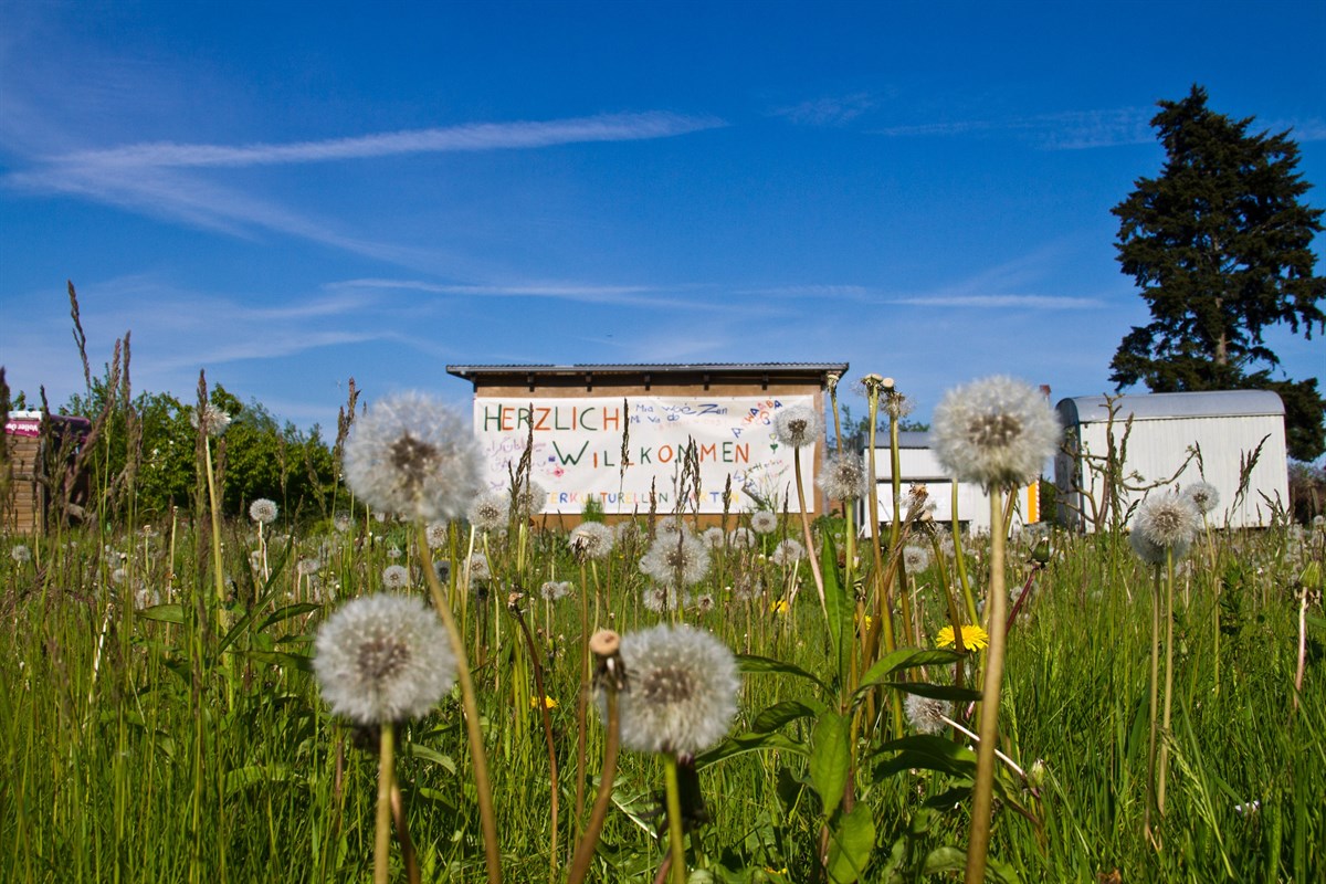 Integrationsprojekt "Interkultureller Garten" wird weiter