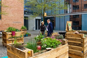 Neue Hochbeete für den Campusgarten am Institut für Biowissenschaften der Uni Rostock