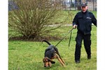 Polizeihund Helge findet vermisstes Mädchen