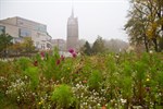 Rostock bald Biostadt?