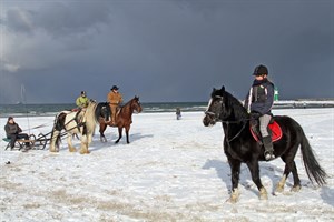 Winterreiten am Strand von Warnemünde