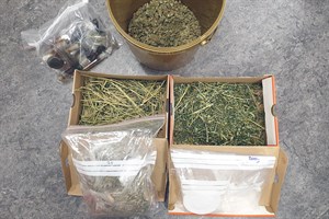 Cannabis und Amphetamine bei Durchsuchungen sichergestellt (Foto: Polizeiinspektion Rostock) Cannabis und Amphetamine bei Durchsuchungen sichergestellt (Foto: Polizeiinspektion Rostock)