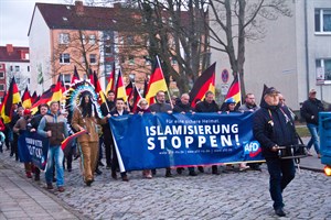 AfD-Demo in Rostock-Reutershagen AfD-Demo in Rostock-Reutershagen