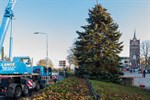 Tannenbaum für Rostocker Weihnachtsmarkt 2019 aufgestellt