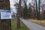 Baumfällungen für Radweg in Warnemünde bis Februar?