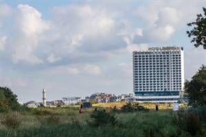 Pflegemaßnahmen sollen eine vollständige Verbuschung der Graudünen in Warnemünde verhindern (Foto: Archiv)