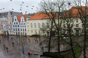 Die Tauben am Uniplatz Rostock wurden vom Sirenen-Test aufgeschreckt