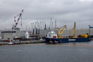 Zwei mobile Hafenkräne sind Ende Januar beim Verladen im Rostocker Überseehafen ins Hafenbecken gestürzt (Foto: Archiv)