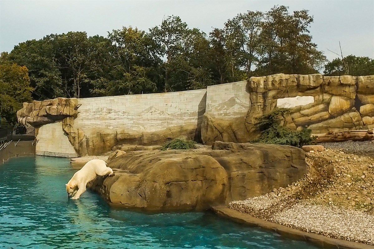 Zoo Rostock öffnet am Montag wieder  Rostock-Heute