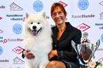 Rassehundeausstellung 2020 in Rostock beendet