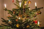 Weihnachtsbaum-Entsorgung erfolgt ab 4. Januar 2021