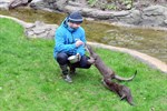 Neue Otteranlage im Zoo eröffnet