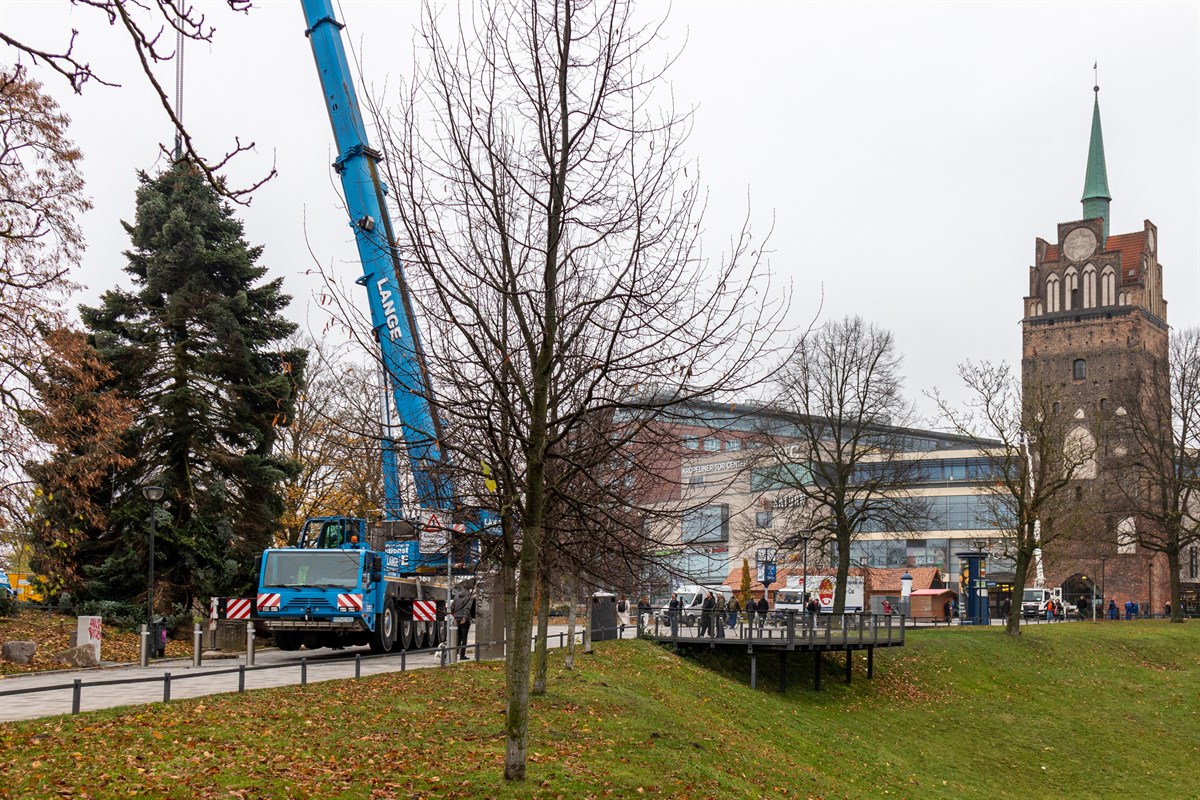 Tannenbaum für Weihnachtsmarkt 2021 gesetzt RostockHeute