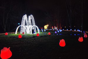 Lumagica im Iga-Park Rostock: Blüten wechseln im Klang der Musik ihre Farbe, im Hintergrund schaut ein riesiger Elefant auf das Spektakel