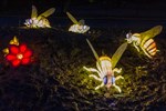 Zoolights Rostock: Bienen