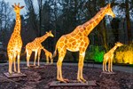 Zoolights – Leuchttiere und Lichtinstallationen im Zoo