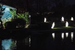 Zoolights Rostock: Pinguine