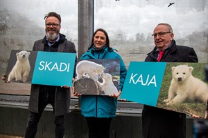 Eisbären-Taufe im Zoo Rostock: Oberbürgermeister Claus Ruhe Madsen (v.l.), Zoodirektorin Antje Angeli und Zoominister Till Backhaus