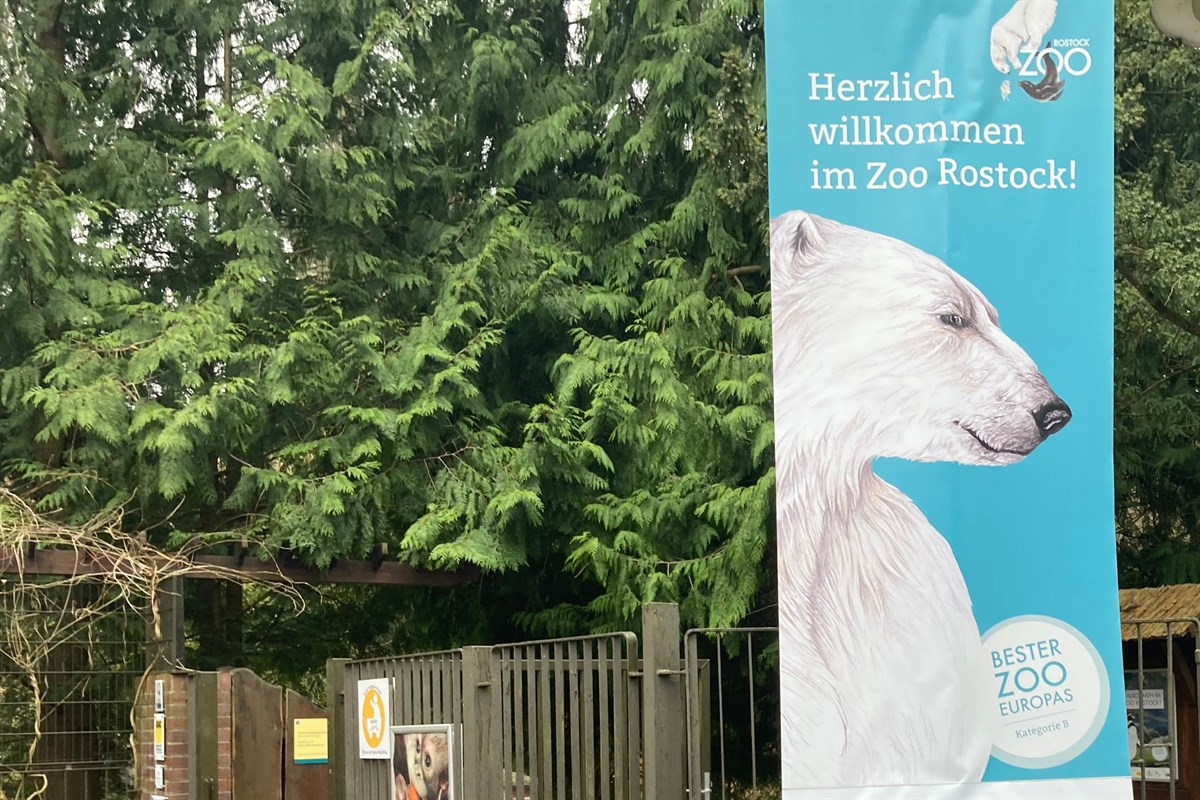 Zoo Rostock erhöht Ticketpreise ab 1. Januar 2023 RostockHeute