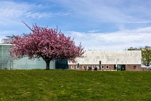 Kunsthalle Rostock - von außen wie immer