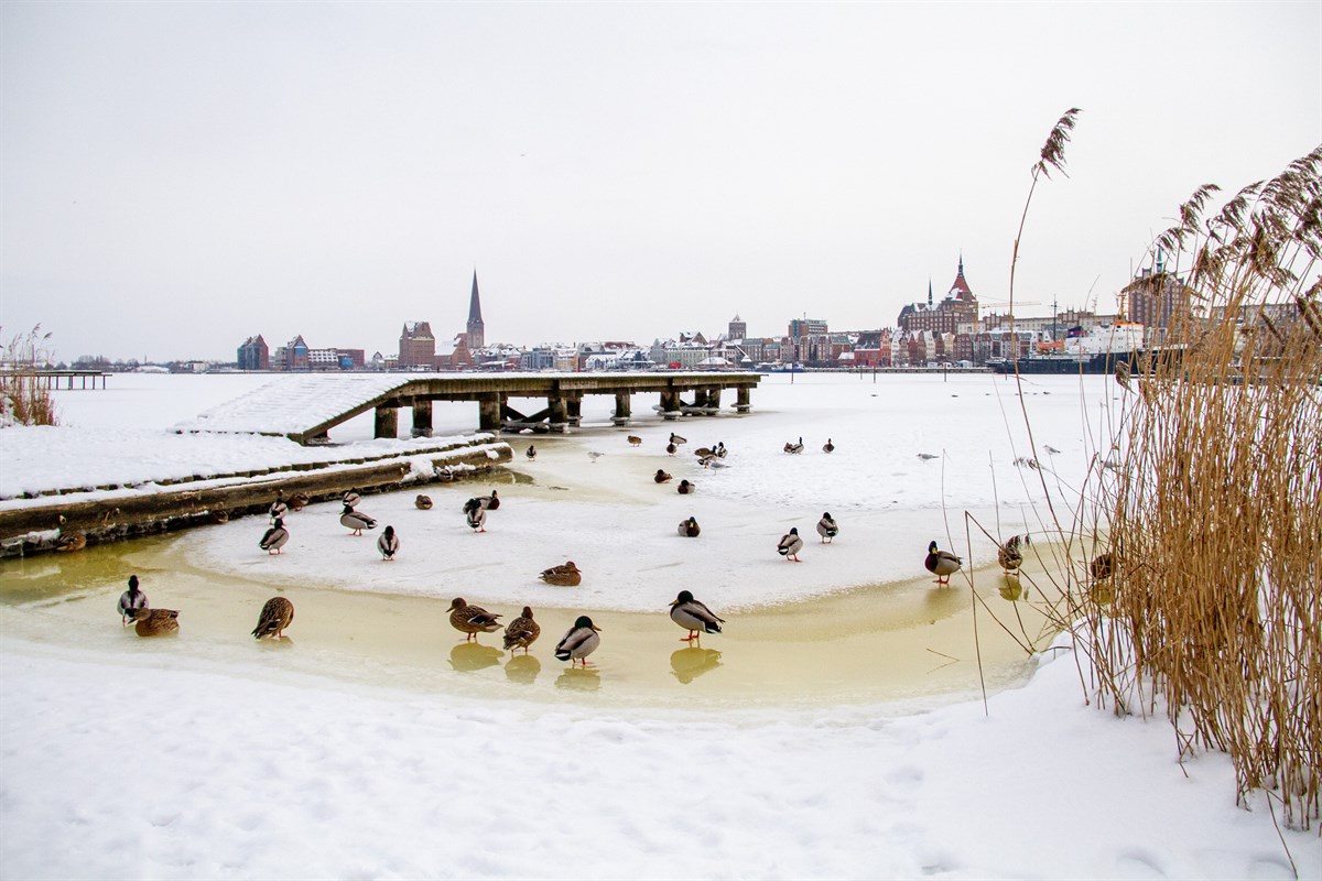 Rostock auf Platz acht der lebenswertesten Städte Europas RostockHeute