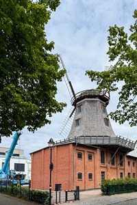 Nach dem Abbruch eines Flügels an der historischen Windmühle in Warnemünde wurde am Nachmittag mit schwerer Krantechnik der gegenüberliegende Flügel entfernt. Nach dem Abbruch eines Flügels an der historischen Windmühle in Warnemünde wurde am Nachmittag mit schwerer Krantechnik der gegenüberliegende Flügel entfernt.