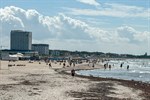 Unklares Fischsterben in und um Warnemünde