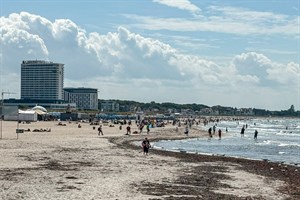 Unklares Fischsterben in und um Warnemünde (Foto: Archiv)