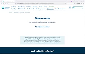 Stadtwerke Rostock: Massive Probleme beim Kundenportal (Screenshot, Stadtwerke Rostock Website)